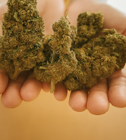 Laughing Buddha CBD Buds-SVAG